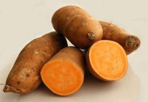sweet-potato