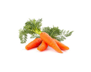 web_carrot