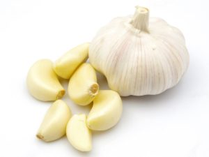 Garlic2